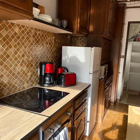 Daire Grand Appartments Sappia Nice